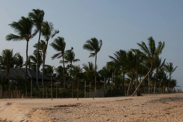 Quels sont les meilleurs itinéraires pour une randonnée dans les montagnes Rocheuses, USA ?