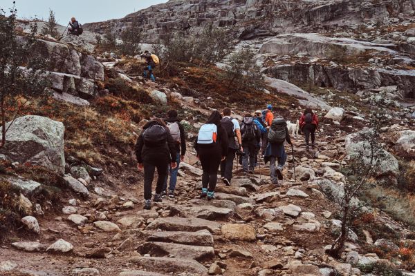 Quels sont les meilleurs itinéraires pour une randonnée dans les montagnes Rocheuses, USA ?