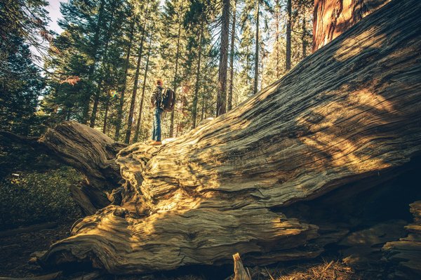 Quels sont les meilleurs circuits pour explorer les chutes Victoria, Zambie et Zimbabwe?